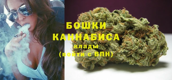 PSILOCYBIN Арсеньев